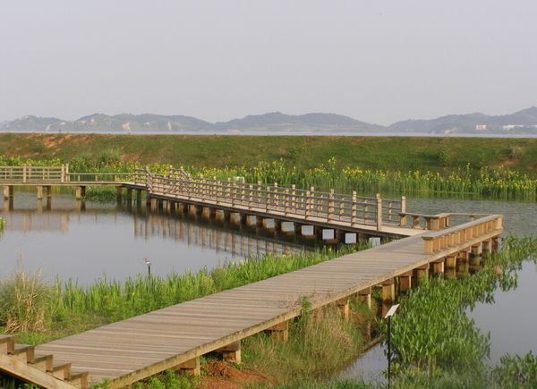 防腐木棧道